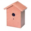 Home and Co Observoiseaux Bird House for Windows, Clear Tinted