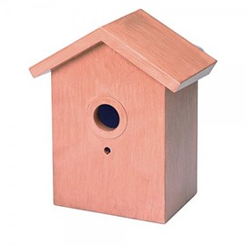 Home and Co Observoiseaux Bird House for Windows, Clear Tinted Floor