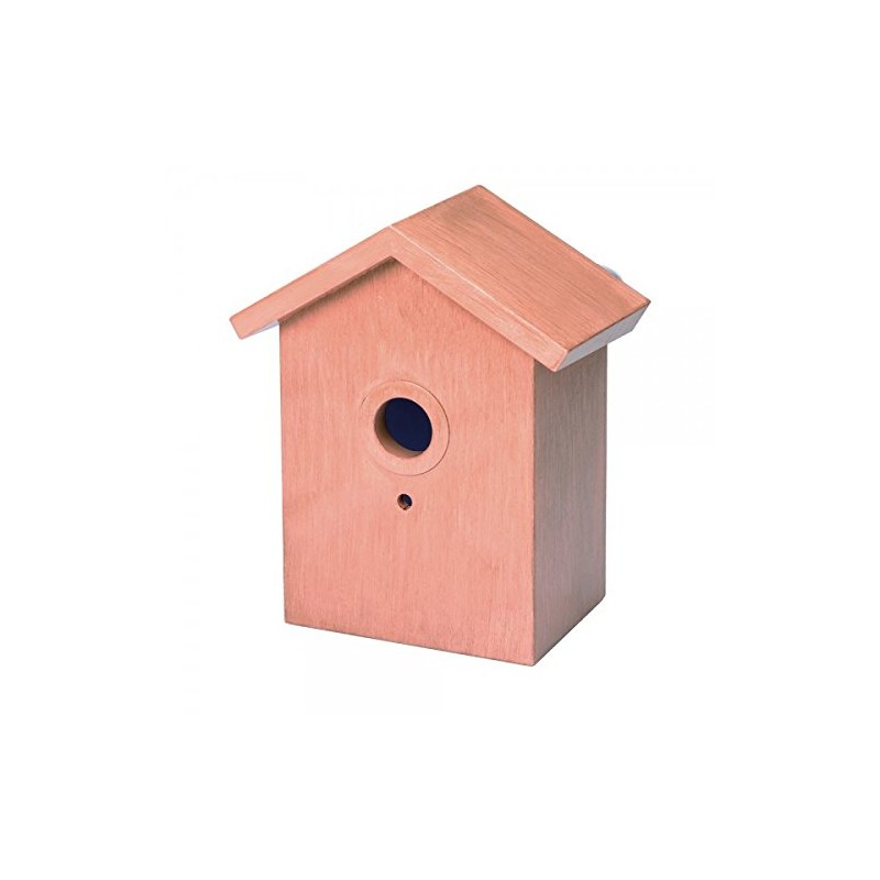 Home and Co Observoiseaux Bird House for Windows, Clear Tinted