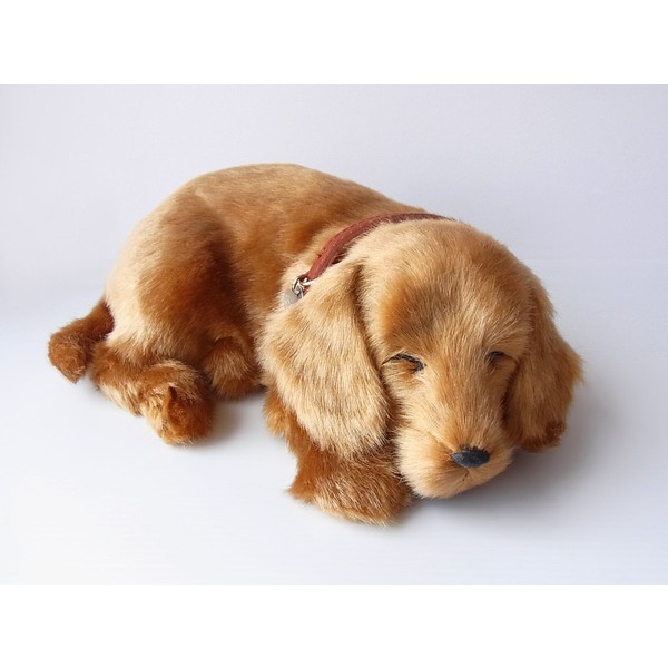 Ninia and Kino Perfect Pet Dachshund Smooth, Size S, Approx.