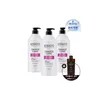 케라시스 [손상모] 케라시스 클리닉 샴푸 980ml 3개 골라담기 + 180ml