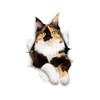 Winston & Bear 3D Cat Stickers - 2 Pack -