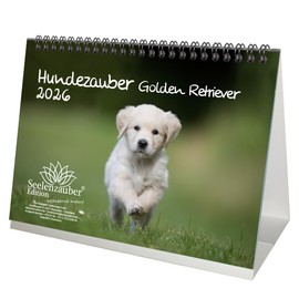 Hundezauber Golden Retriever DIN A5 Tischkalender für 2026 Welpen und Hunde - Inhalt: 1x Kalender 1x Weihnachtsanhänger 1x Grußanhänger (gesamt 3 Teile)