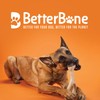 BetterBone - Dog Toy for Chewing - Small Hard Classic