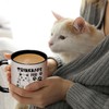 Joyamking Coffee Cup Gifts for Cat Lovers Drinking Bowl for