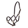 Shires Ragley Lined Leather Headcollar: Black: Small Pony