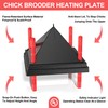 Tiflev 10" x 10" Chick Brooder Heating Plate with Anti