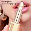 Colour Changing Lipstick, Transfer Proof & Long Lasting PH Lipstick