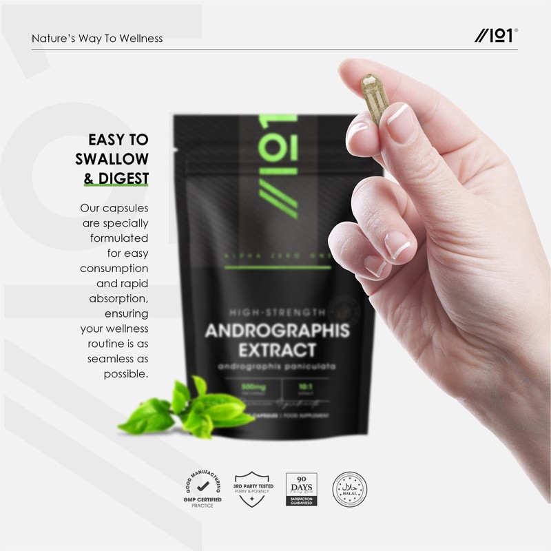 Andrographis Extract 500mg – High Strength Andrographis Paniculata Extract Equivalent