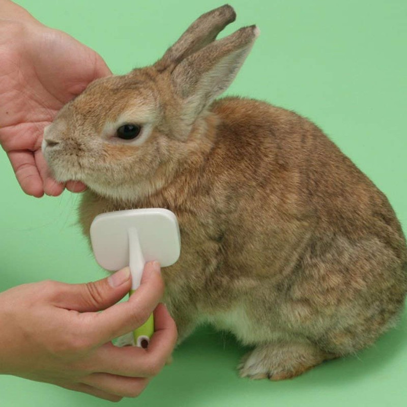 Mini Animan Rabbit Slicker Brush