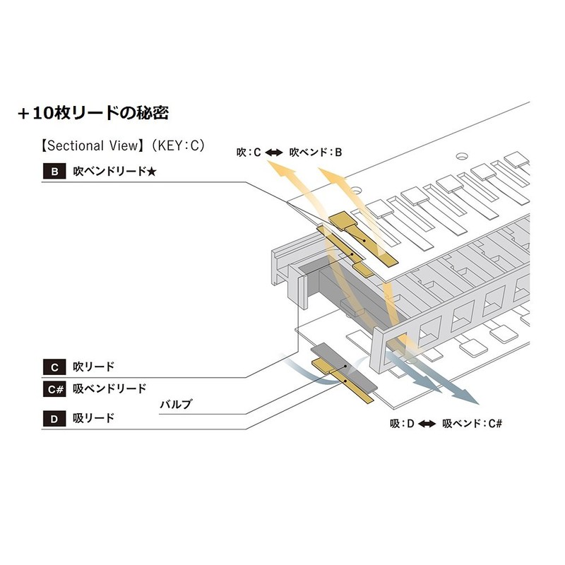 SUZUKI SUZUKI ULTRA BEND SUB30 10 Hole Harmonica A Tone
