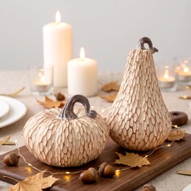 TonJin Resin Pumpkin Decor Set of 2, Brown and White Fall Decorations for Home, Faux Pumpkins for Rustic Fall Coffee Table Decor, Thanksgiving Centerpiece, Autumn Harvest Indoor Decoration