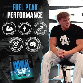 Animal Creatine Chews – Enhanced Creatine Monohydrate Chewable Tablets with AstraGin & Sea Salt, Max Absorption Pre Post-Workout, Lean Muscle Growth, Strength & Recovery, New Flavor Candy Crush’d