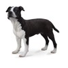 CollectA American Staffordshire Terrier