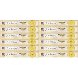 Berk HS-100-P4-12 Incense Sticks, 4x, 8x, or 12x Ambrosia (Pack of 12)