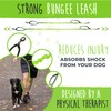 Mighty Paw Hands Free Dog Leash | Bungee Waist Leash