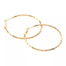 neXxtten Gold Tone Gold Plated Metal Omega Back Hoop Earrings XPE2619E-GLD