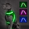 ChalkLit Light Up Dog Harness, No Pull Led Dog Harness