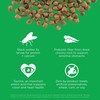 Go! Solutions Sensitivities Limited Ingredient Insect Grain-Free Dry Cat Food,