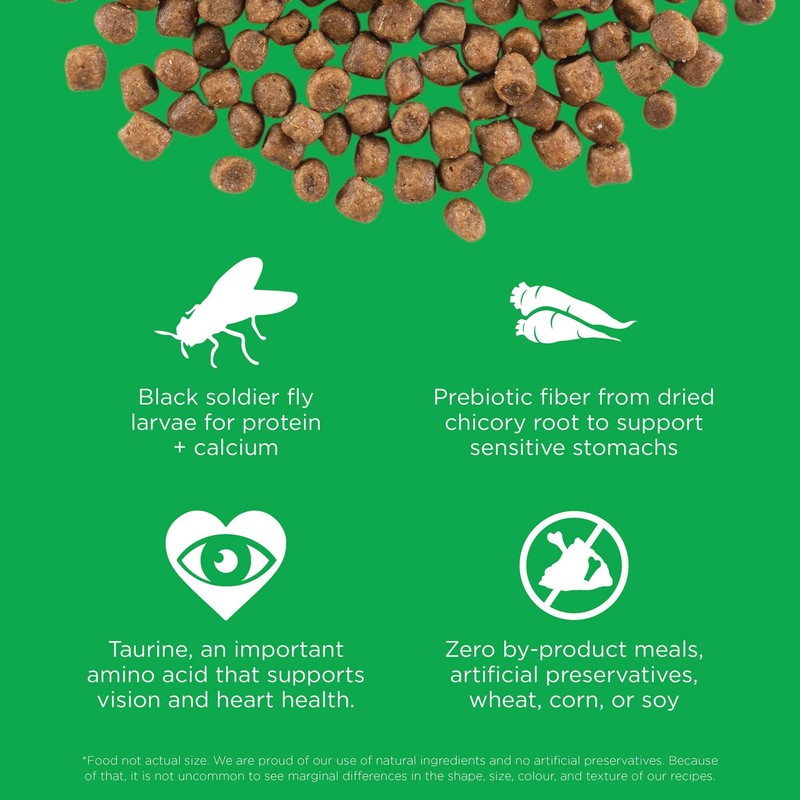 Go! Solutions Sensitivities Limited Ingredient Insect Grain-Free Dry Cat Food,