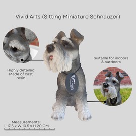 Vivid Arts (Miniature Schnauzer Sitting