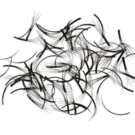 Knot Free W Lash Off the Tray B Curl 11mm