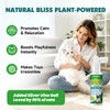Catnip Spray for Cats with Silvervine, Enhance Playtime & Relaxation,