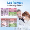 Plifal LAB Values Reference Card with Nurse Badge Buddy -