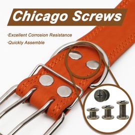 120 Sets Leather Belt Repair Rivets Kit Fasteners Chicago Screws for Leather Crafting Purse Bag Leathercraft Belts Collar Making Supplies (Assorted, Bronze)