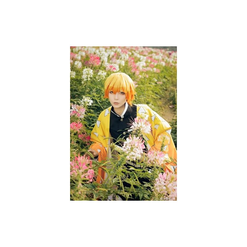 コスプレウィッグ 我妻善逸 コスプレ ウィッグ あがつまぜんいつ コスチューム 耐熱 ウィッグ 鬘 ショートウィッグ