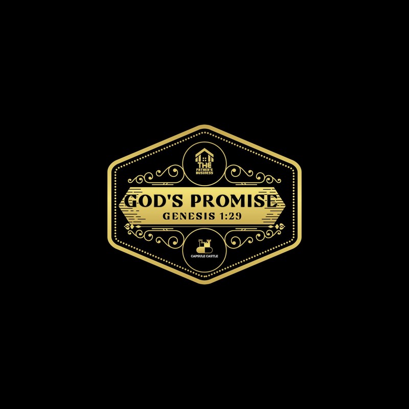 Generic God's Promise Herbal COMPOUNDS : 100 Capsules - GRABMECC