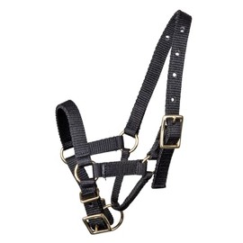 WALDHAUSEN Alpaca Headcollar, M, Black