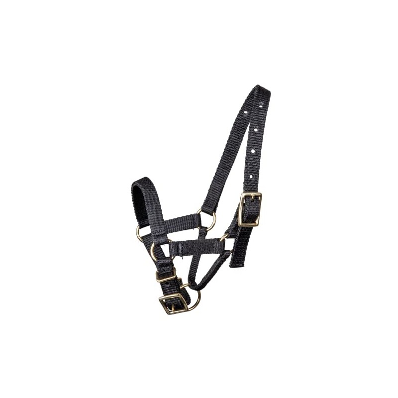 WALDHAUSEN Alpaca Headcollar, M, Black