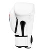 Fighting Sports Fury Professional Training Gloves, White, 16 oz
