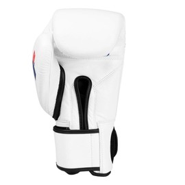 Fighting Sports Fury Professional Training Gloves, White, 16 oz