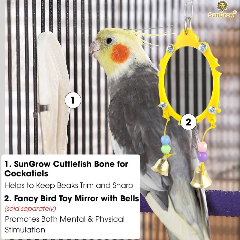 SunGrow Cuttlefish Bones for Cockatiels, 6 Inches, Cage Holder Included,