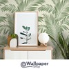 Tropical Palm Tree White Green Wallpaper - Leaves Botanical Naturistic