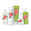 ATTITUDE Natural Conditioner for Kids, Watermelon & Coco, 8 Fl