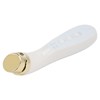 Facial Beauty Massager Hot Compress Vibration EMS Microcurrent Skin Tightening