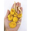 Dried Chanterelle Pfifferling mushroom 雞油菌 雞油菇 Free airmail (500 grams)