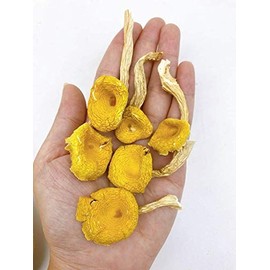 Dried Chanterelle Pfifferling mushroom 雞油菌 雞油菇 Free airmail (500 grams)