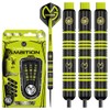 WINMAU Michael Van Gerwen MvG Ambition Brass 24g Professional Steel
