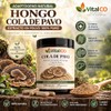 Hongos Adaptógenos Suplemento Hongo Cola Pavo 120 Cápsulas Extracto 100