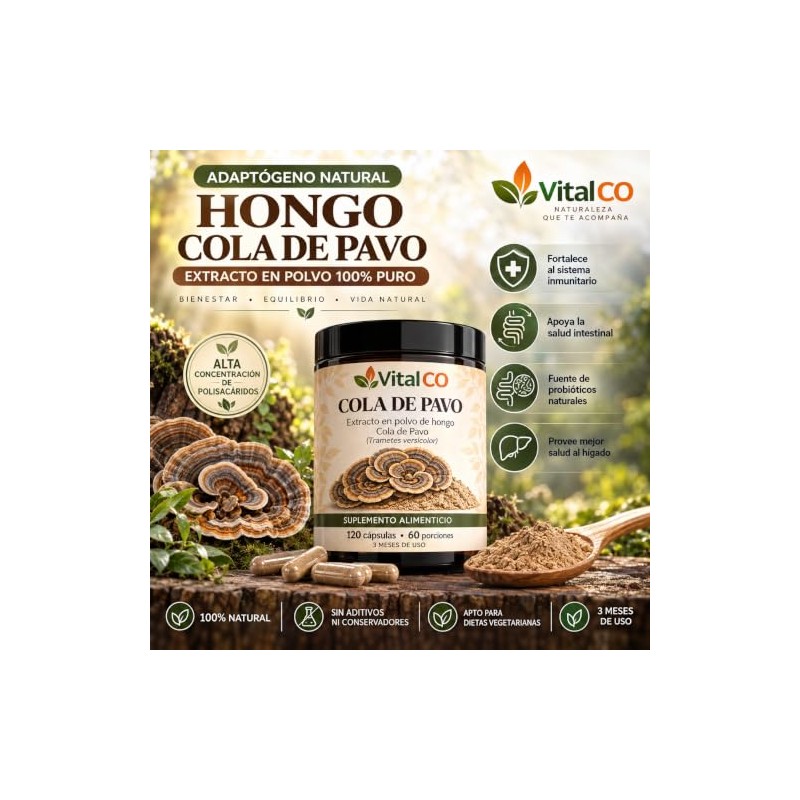 Hongos Adaptógenos Suplemento Hongo Cola Pavo 120 Cápsulas Extracto 100