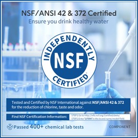 Lifefilter Water Filter Replacement for Pitcher Filters and Dispenser Filters, ZR-001 ZR-003 ZP-600 ZR-017, Multi-Stage Filter System, Reduce TDS, PFOA/PFOS, Chlorine, 2 Pack