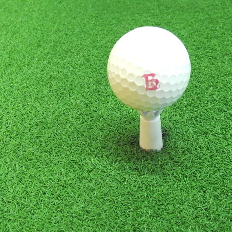 Golf Tees Exercise Mat Adjustable Height Permanent Tees 2.2 -