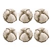 SunGrow Assorted Rabbit & Cat Chew Balls, Teething Activity Toy