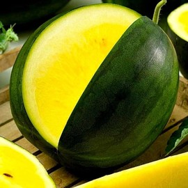 Watermelon Yellow Star 20+ Seeds for Planting Non-GMO