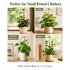 Moromyse Plant Trellis Indoor 16in Bamboo Trellis Loop - Shaped