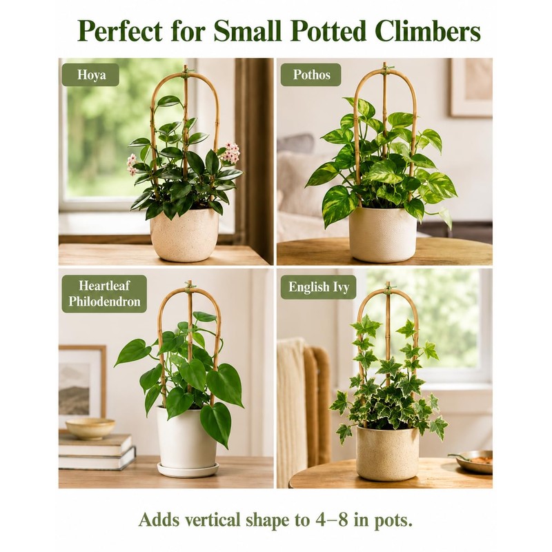Moromyse Plant Trellis Indoor 16in Bamboo Trellis Loop - Shaped